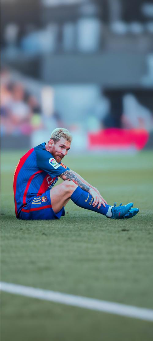 曾引起争议，西安国际足球中心草坪已重新铺设，明年3月达标（争议已成过去：西安国际足球中心草坪完成重铺，预计明年3月达标）