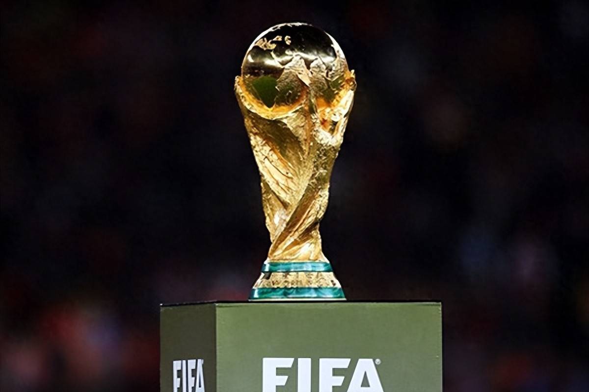 意媒：布雷默和鲁加尼今日参与全队合练，弗拉霍维奇在旁观看（意媒：布雷默与鲁加尼今日随队合练，弗拉霍维奇在场边观望）